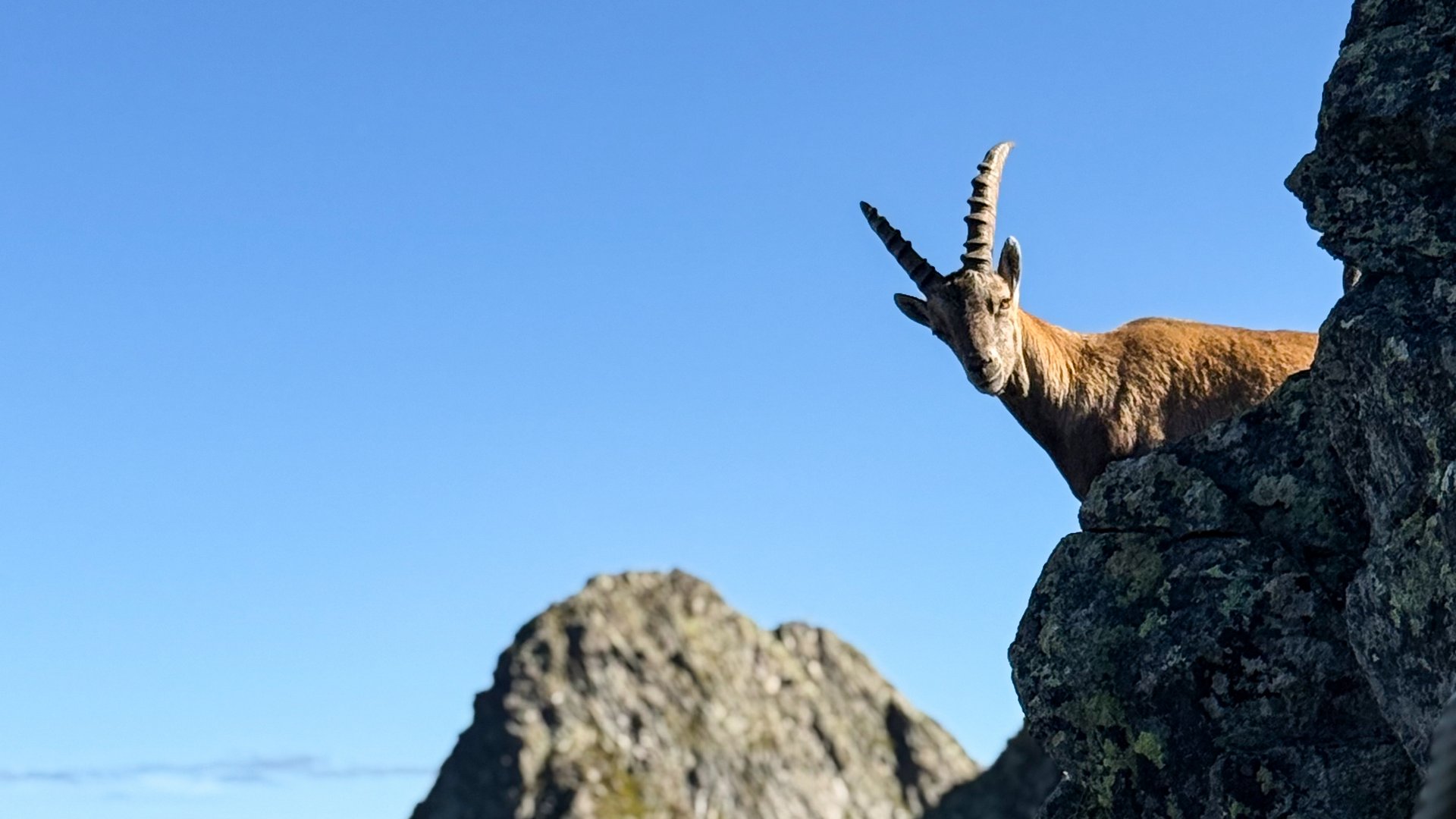 Vielfältige Erlebnisse Urlaubsangebote für Wellness, Genuss & Berge im Montafon
