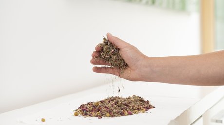 Erwachsenenhotel in Österreich: Wellness für Frau und Mann Erwachsenenhotel in Österreich: Wellness für Frau und Mann