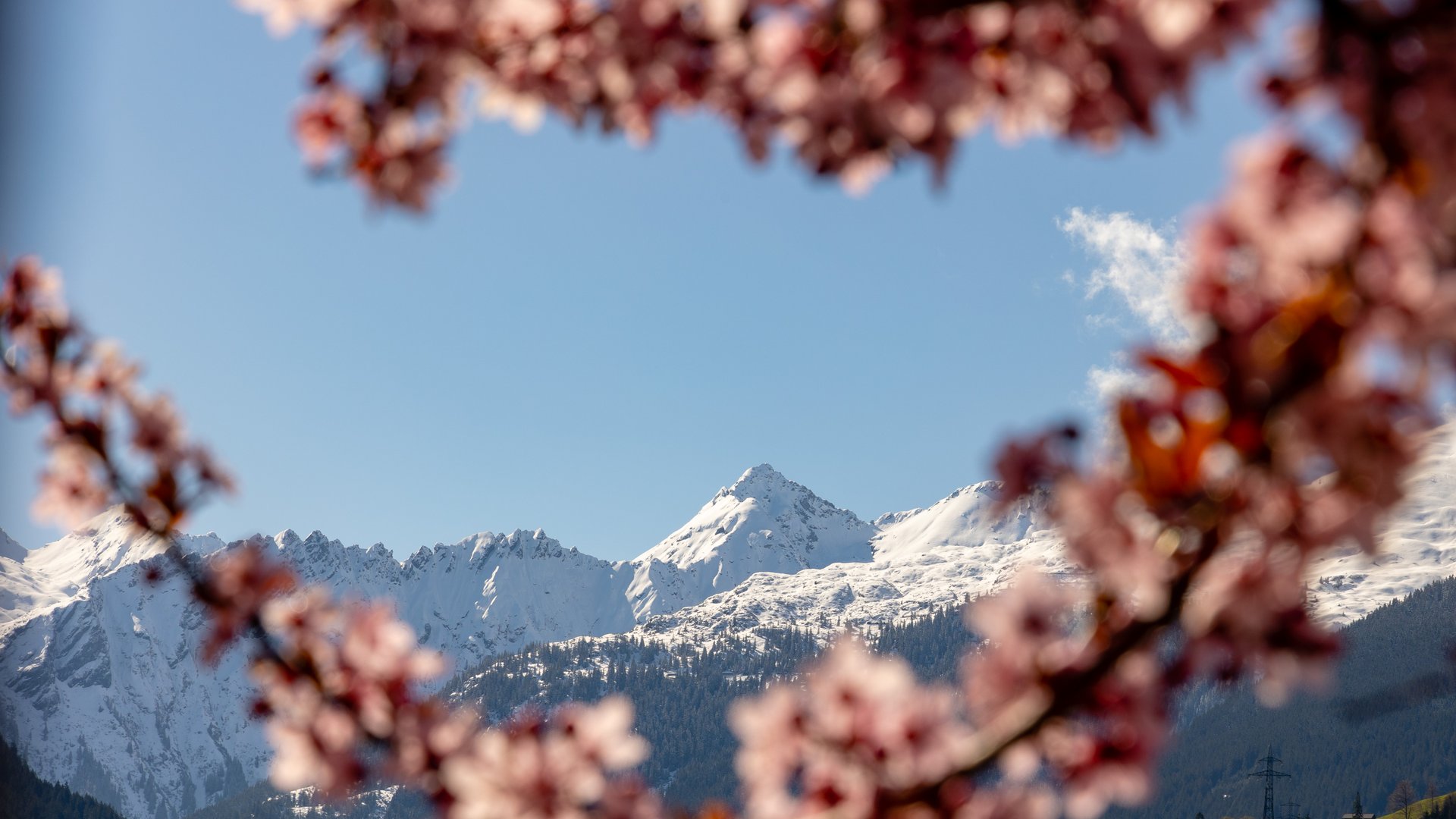 Ihr Hotel in St. Gallenkirch im Montafon: très chic