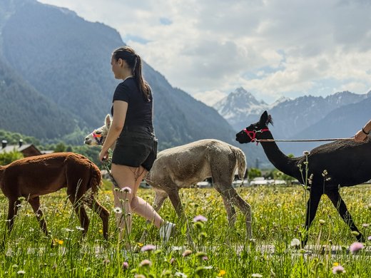 Für alle welche etwas ganz besonderes erleben wollen Für alle welche etwas ganz besonderes erleben wollen