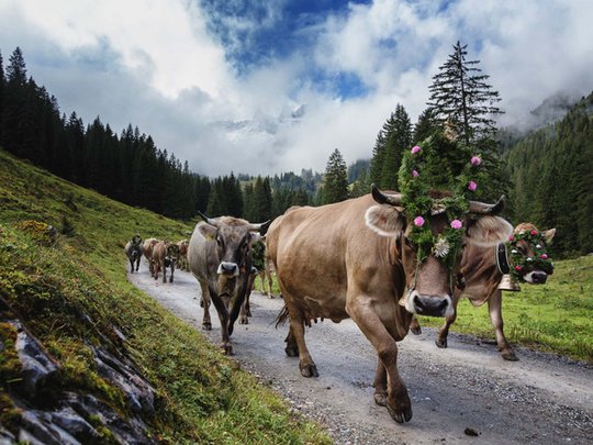 The most beautiful hike in Montafon The most beautiful hike in Montafon