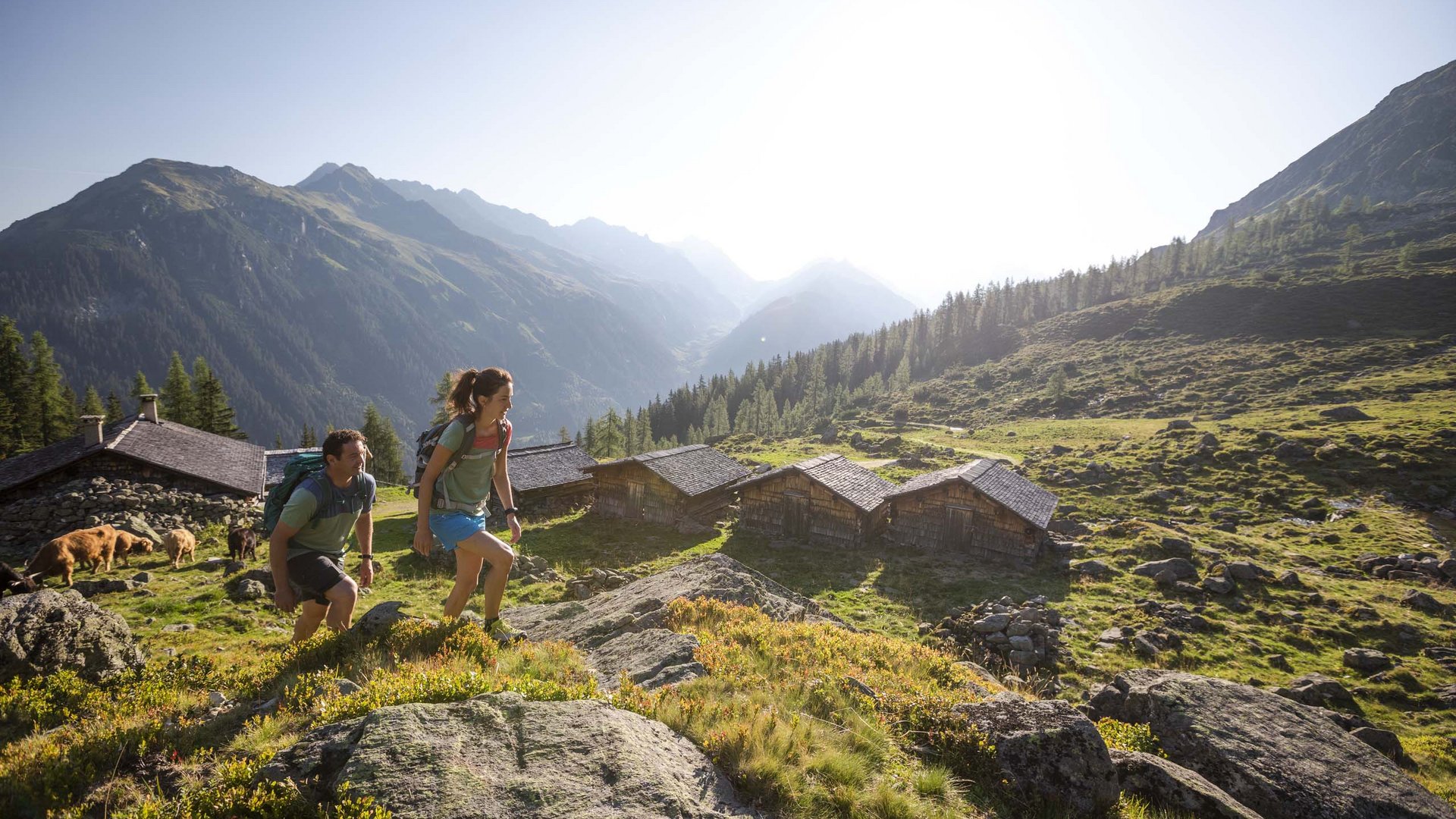 Nicht kleinkariert, sondern echt erlebnisreich Ihr Hotel in St. Gallenkirch im Montafon: très chic